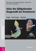 Krautwald-Junghanns / Pees / Reese |  Atlas der bildgebenden Diagnostik bei Heimtieren | eBook | Sack Fachmedien