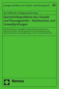 Faßbender / Köck |  Querschnittsprobleme des Umwelt- und Planungsrechts - Rechtsschutz und Umweltprüfungen | eBook | Sack Fachmedien