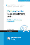 Balloff / Meysen / Ernst |  Praxiskommentar Familienverfahrensrecht | Buch |  Sack Fachmedien