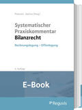 Petersen / Zwirner |  Systematischer Praxiskommentar Bilanzrecht (E-Book) | eBook | Sack Fachmedien