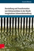 Metzner |  Darstellung und Transformation von Schmerzerleben in der Musik-imaginativen Schmerzbehandlung | Buch |  Sack Fachmedien