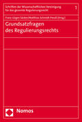 Säcker / Schmidt-Preuß |  Grundsatzfragen des Regulierungsrechts | Buch |  Sack Fachmedien
