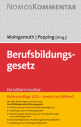 Wohlgemuth / Pepping | Berufsbildungsgesetz | Buch | sack.de