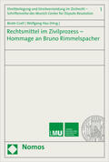 Gsell / Hau |  Rechtsmittel im Zivilprozess - Hommage an Bruno Rimmelspacher | Buch |  Sack Fachmedien