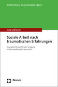 Gebrande |  Soziale Arbeit nach traumatischen Erfahrungen | Buch |  Sack Fachmedien