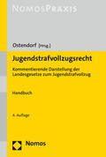 Ostendorf |  Jugendstrafvollzugsrecht | Buch |  Sack Fachmedien