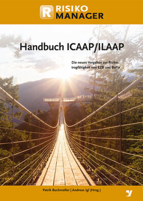 Buchmüller / Igl | Handbuch ICAAP / ILAAP | Buch | sack.de