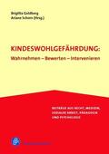 Goldberg / Schorn |  Kindeswohlgefährdung: Wahrnehmen – Bewerten – Intervenieren | eBook | Sack Fachmedien