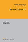 Mankowski / Magnus |  Brussels I Regulation | eBook | Sack Fachmedien