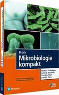 Madigan / Martinko / Stahl |  Brock Mikrobiologie kompakt | Buch |  Sack Fachmedien