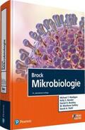Madigan / Bender / Buckley |  Brock Mikrobiologie | Buch |  Sack Fachmedien