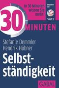 Demmler / Hübner |  30 Minuten Selbstständigkeit | Buch |  Sack Fachmedien