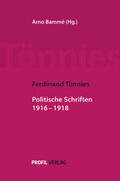 Bammé / Tönnies |  Ferdinand Tönnies: Politische Schriften 1916 -1918 | Buch |  Sack Fachmedien