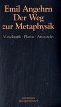 Angehrn |  Der Weg zur Metaphysik | Buch |  Sack Fachmedien