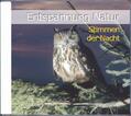 Dingler / Fackelmann |  Entspannung Natur-Stimmen der Nacht | Sonstiges |  Sack Fachmedien