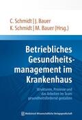 Schmidt / Bauer |  Betriebliches Gesundheitsmanagement im Krankenhaus | Buch |  Sack Fachmedien