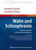 Lammel / Sutarski / Lau |  Wahn und Schizophrenie | eBook | Sack Fachmedien