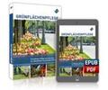 Augustin / Barthel / Balder |  Grünflächenpflege | Buch |  Sack Fachmedien