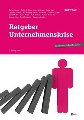 Leitsmüller / Lang / Lugger | Ratgeber Unternehmenskrise | Buch | sack.de