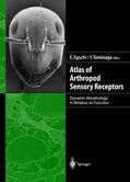 Tominaga / Eguchi |  Atlas of Arthropod Sensory Receptors | Buch |  Sack Fachmedien