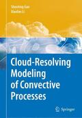Li / Gao |  Cloud-Resolving Modeling of Convective Processes | Buch |  Sack Fachmedien