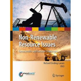 Wellmer / Sinding-Larsen | Non-Renewable Resource Issues | Buch | sack.de