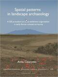 Anita Casarotto |  Spatial Patterns in Landscape Archaeology | Buch |  Sack Fachmedien