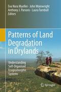 Mueller / Turnbull / Wainwright |  Patterns of Land Degradation in Drylands | Buch |  Sack Fachmedien