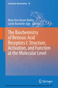 Asson-Batres / Rochette-Egly |  The Biochemistry of Retinoic Acid Receptors I: Structure, Activation, and Function at the Molecular Level | eBook | Sack Fachmedien