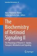 Rochette-Egly / Asson-Batres |  The Biochemistry of Retinoid Signaling II | Buch |  Sack Fachmedien